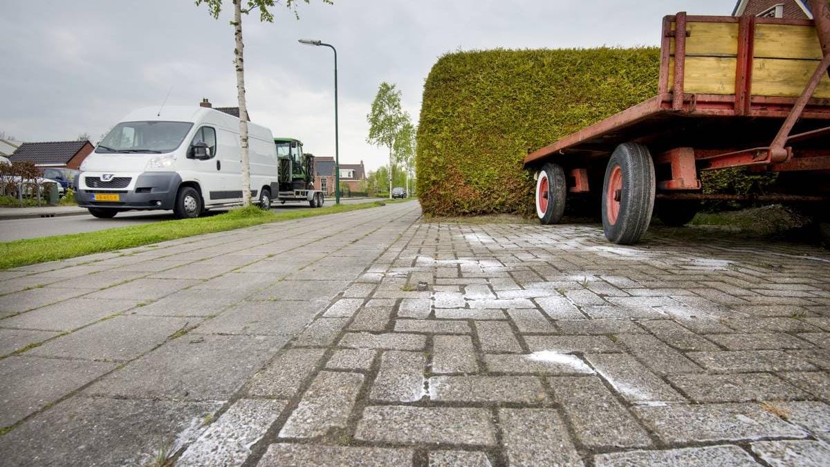 Zout beter voor het bestrijden van onkruid dan azijn Welkom op www.steenzout.nl